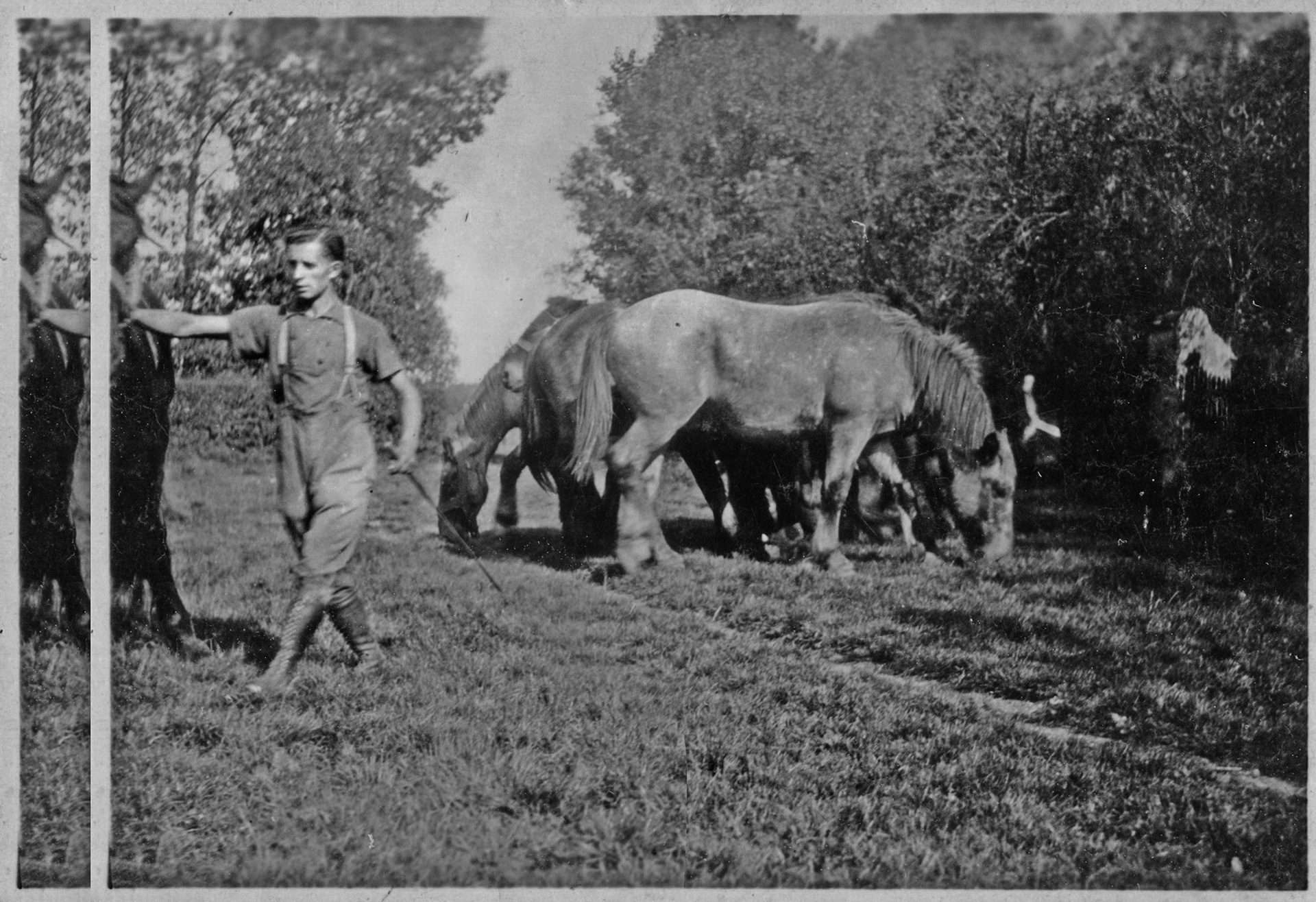 Image de la ferme datant de 1924