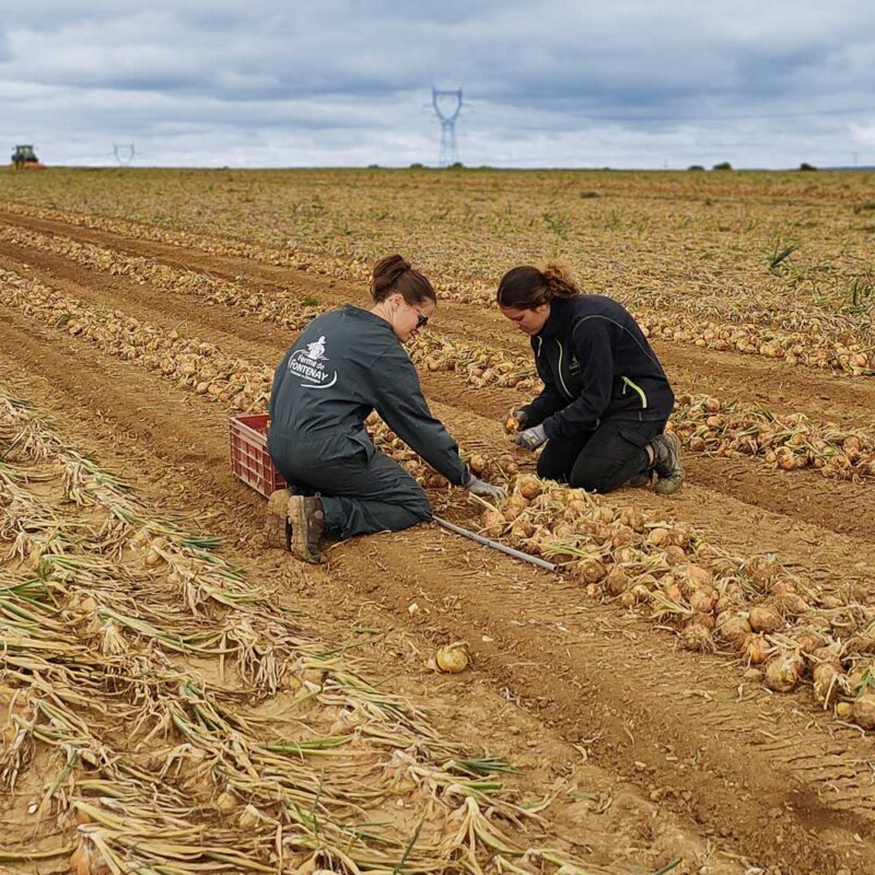 Travail d'équipe